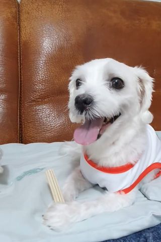 잉꾸님이 올린 리뷰 사진 3