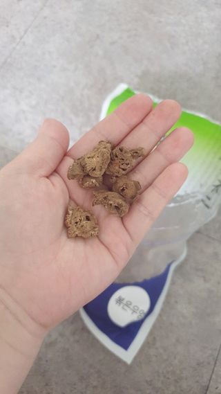 sowon님이 올린 리뷰 사진 2
