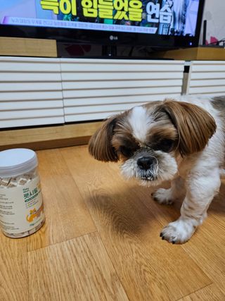 [펫시밀] 원물그대로 영양듬뿍 진공동결건조 북어트릿75g,치킨트릿100g,연어트릿75g 강아지 고양이 간식 — 5점을 준 리뷰어가 2023년 5월 올린 사용 사진