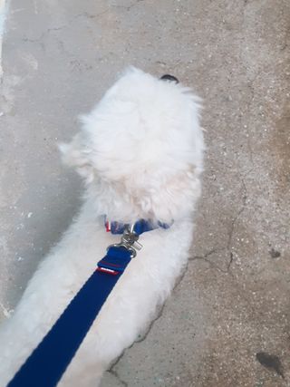 미진냥님이 올린 리뷰 사진 1