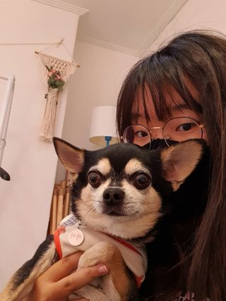 깜쵸2님이 올린 리뷰 사진 3