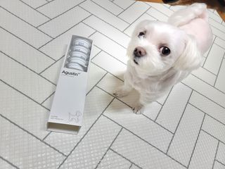 두부님이 올린 리뷰 사진 2