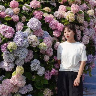 더그린랩 WOMEN TWIST MODAL SHORT SLEEVE — 3.5점을 준 리뷰어가 2023년 6월 올린 사용 사진