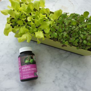 슬림플래닛 가르시니아 2500mg 비포밀 — 4점을 준 리뷰어가 2021년 3월 올린 사용 사진
