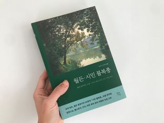 Jin님이 올린 리뷰 사진 1