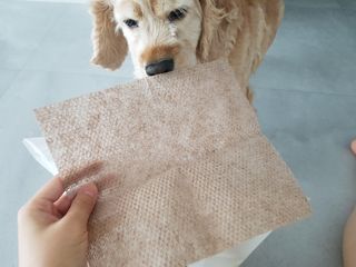 찬이애비님이 올린 리뷰 사진 4