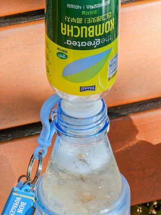 더그레잇티 콤부차 [매일유업] 더그레잇티 44kcal 콤부차 300ml *12개입 (오리지널 6개+베리리치 6개) — 5점을 준 리뷰어가 2023년 9월 올린 사용 사진