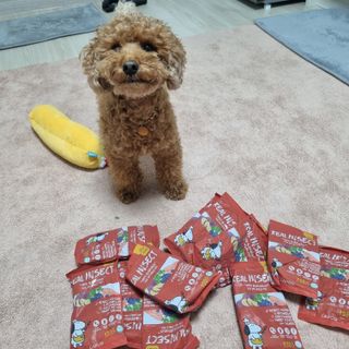 @samil_5240님이 올린 리뷰 사진 1