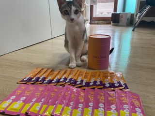 페페로니 맛있는 스틱 - 무항생제 닭고기 15개 + 알래스카 연어 15개 — 5점을 준 리뷰어가 2021년 9월 올린 사용 사진
