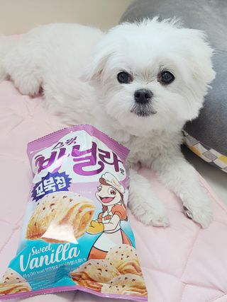 송린깡님이 올린 리뷰 사진 4