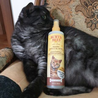 floria님이 올린 리뷰 사진 2