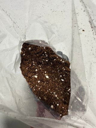 Obliviate님이 올린 리뷰 사진 2