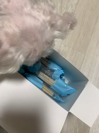 페페로니 클린플러스 덴탈오리껌 10g x 14p — 5점을 준 리뷰어가 2021년 7월 올린 사용 사진