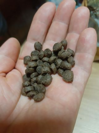 moomoon님이 올린 리뷰 사진 2