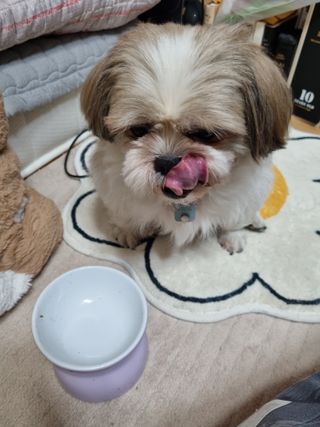 clarawon님이 올린 리뷰 사진 2