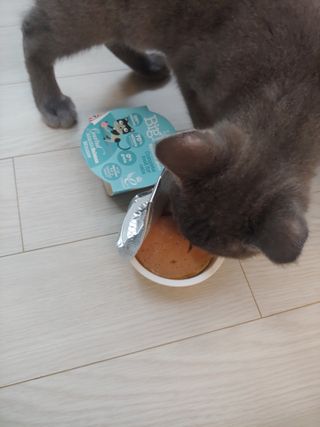 유영경님이 올린 리뷰 사진 3