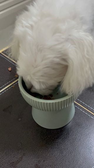 달콩리치님이 올린 리뷰 사진 2