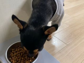 깡지님이 올린 리뷰 사진 3