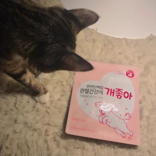 My Pet Care 천연단백질 관절건강에 개좋아 — 5점을 준 리뷰어가 2021년 2월 올린 사용 사진
