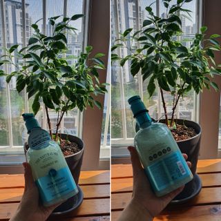 벨먼 내추럴스파 수분광채 스크럽 바디워시 600ml 5종 — 5점을 준 리뷰어가 2022년 5월 올린 사용 사진
