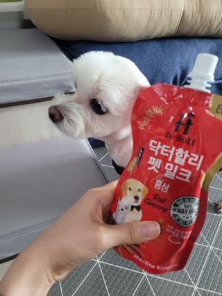 pussyess님이 올린 리뷰 사진 2