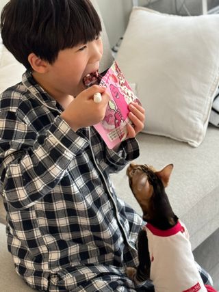 스낵스 와그작후루룩 3종_카카오2봉+아몬드2봉+딸기2봉 (총 6봉) — 5점을 준 리뷰어가 2024년 2월 올린 사용 사진
