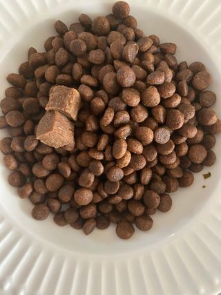 My Pet Care 천연단백질 관절건강에 개좋아 — 4.5점을 준 리뷰어가 2021년 3월 올린 사용 사진