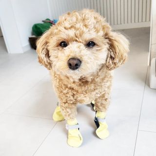 써니곰님이 올린 리뷰 사진 2