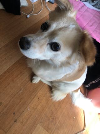 ㅇㅅㅇ님이 올린 리뷰 사진 3