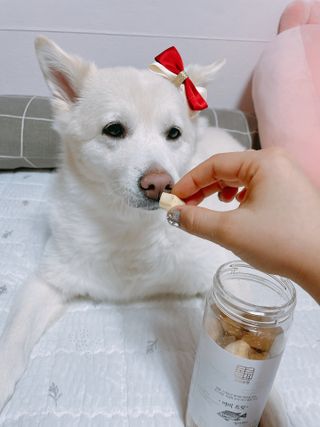 bori0924님이 올린 리뷰 사진 2