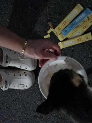 페페로니 잘 먹는 캣츄 - 무항생제 닭고기 12개 + 원양선 참치 12개 — 5점을 준 리뷰어가 2021년 8월 올린 사용 사진