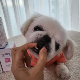 mini unni님이 올린 리뷰 사진 4