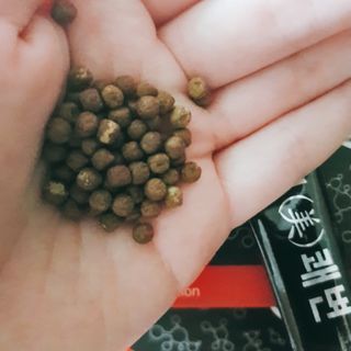 새롬바이오 리생 [미쾌변] 차전자피 식이섬유 건강기능식품 3팩 — 3.5점을 준 리뷰어가 2021년 6월 올린 사용 사진