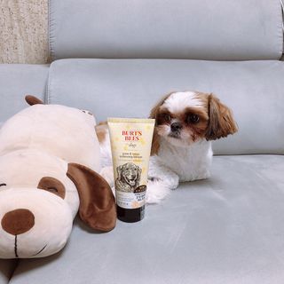 튤립님이 올린 리뷰 사진 1