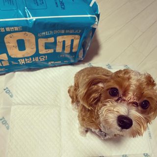 칸쵸님이 올린 리뷰 사진 4