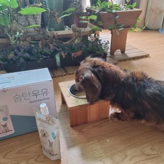 benny님이 올린 리뷰 사진 3