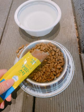 페페로니 맛있는 스틱 - 무항생제 닭고기 15개 + 원양선 참치 15개 — 5점을 준 리뷰어가 2021년 10월 올린 사용 사진