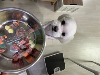 정꾸꾸님이 올린 리뷰 사진 1