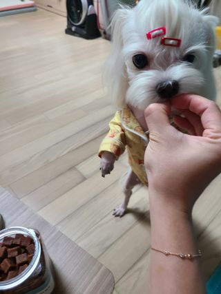 스카이보스님이 올린 리뷰 사진 2