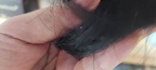 다온님이 올린 리뷰 사진 3