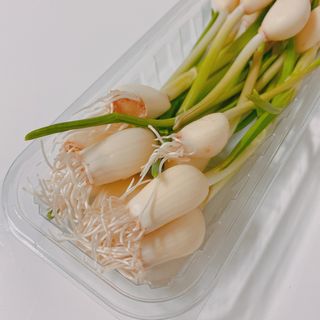 민징님이 올린 리뷰 사진 4