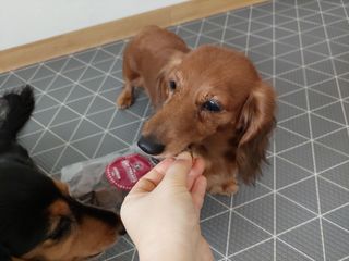 노루다래꼬봉님이 올린 리뷰 사진 2