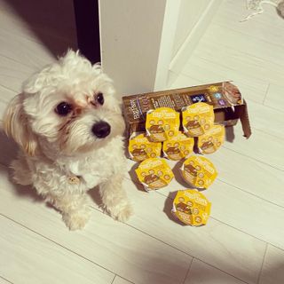 칸쵸님이 올린 리뷰 사진 4
