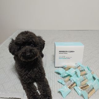 페페로니 클린플러스 덴탈치킨껌 10g x 14p — 1점을 준 리뷰어가 2021년 7월 올린 사용 사진