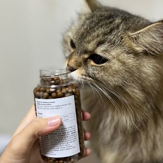 펫21 그로그로 5종 강아지 고양이 반려동물 한방 영양제 — 4점을 준 리뷰어가 2021년 11월 올린 사용 사진