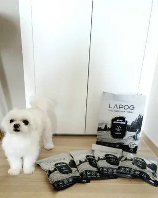 [푸디웜] 라포그 리얼인섹트 소프트키블 스킨 1KG — 5점을 준 리뷰어가 2022년 9월 올린 사용 사진