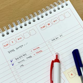borana님이 올린 리뷰 사진 1