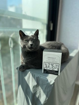 꼼꼼언니님이 올린 리뷰 사진 3
