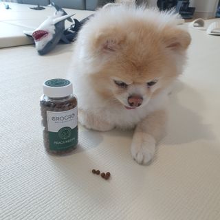 bangwoori님이 올린 리뷰 사진 3