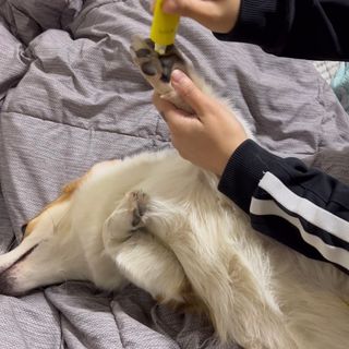 댜밍님이 올린 리뷰 사진 2